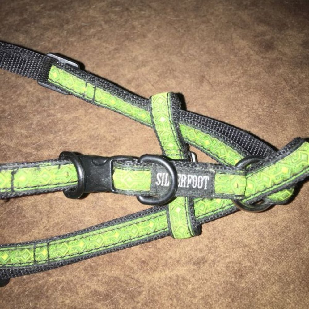 Silverfoot Green Pattern Dog Harness